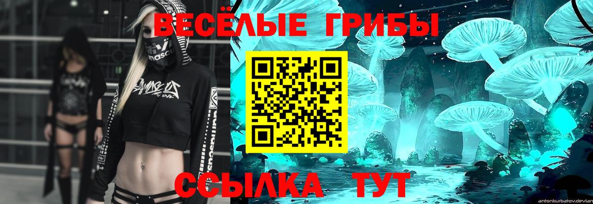 Псилоцибиновые грибы GOLDEN TEACHER Саранск